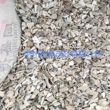 皮肤细腻、任人摆布!最高99万元的仿生机器人真要进家了