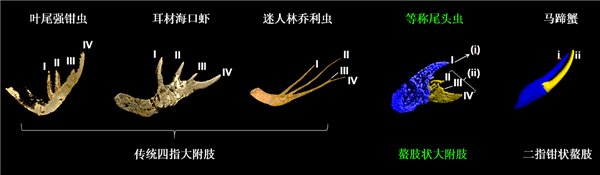 运营约9年!苹果总部ApplePark游客中心撤下AR展区:改为零售空间